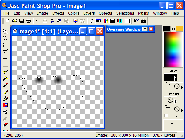 Paint Shop Pro